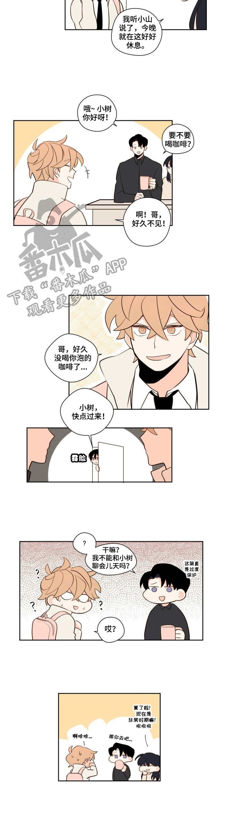 第11章：猜测