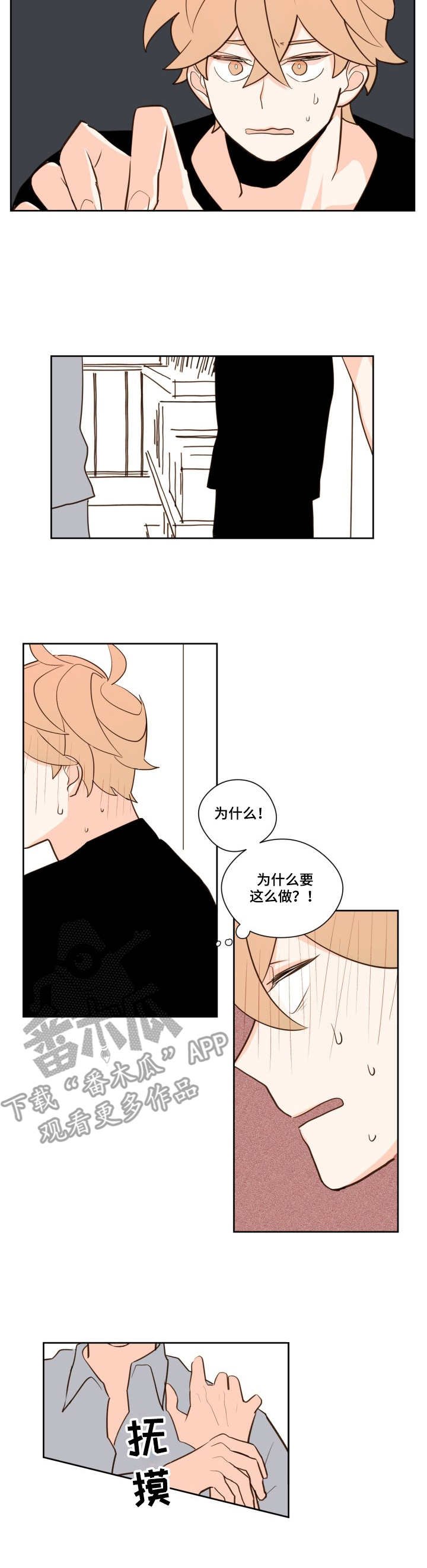第13章：奇怪