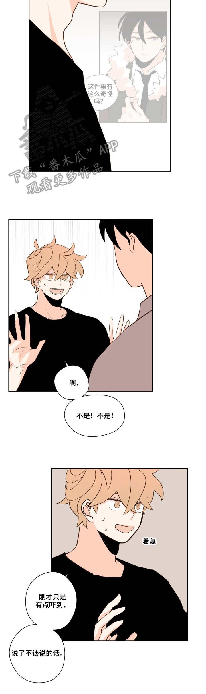 第13章：奇怪