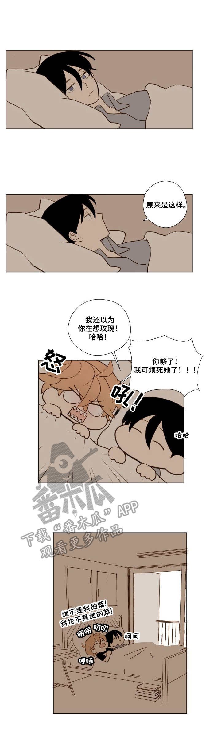 第15章：回答