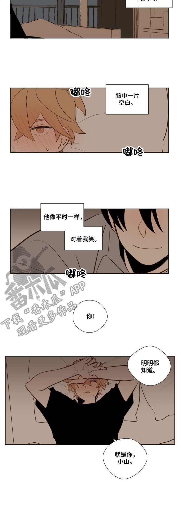 第16章：表白