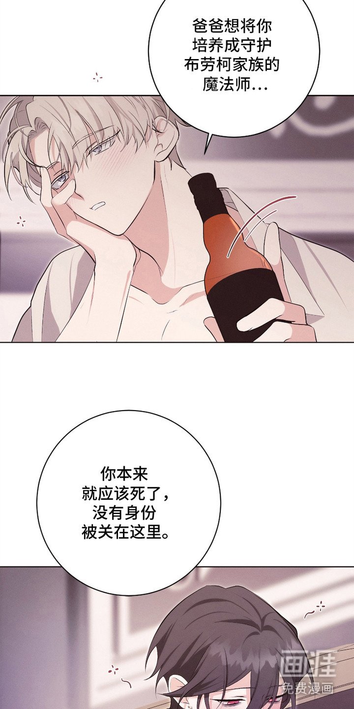 第11章：搅动了心