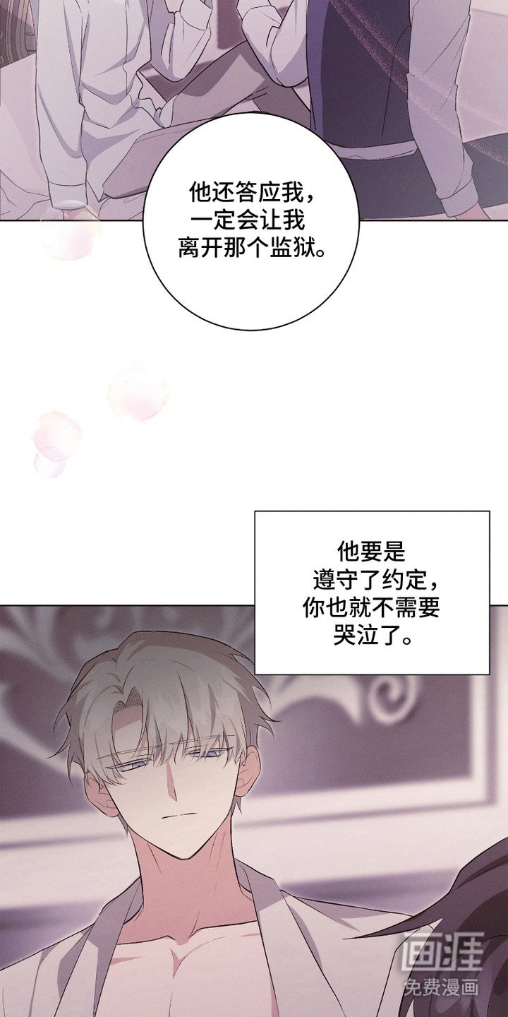 第11章：搅动了心