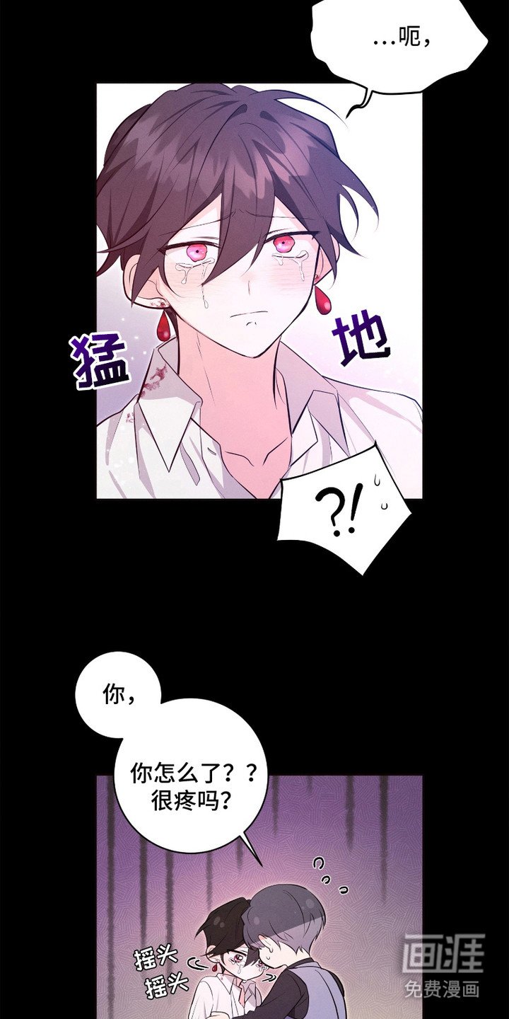 第14章：约定
