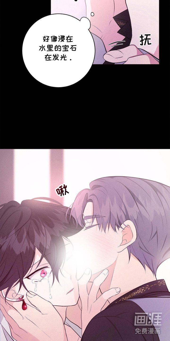 第14章：约定