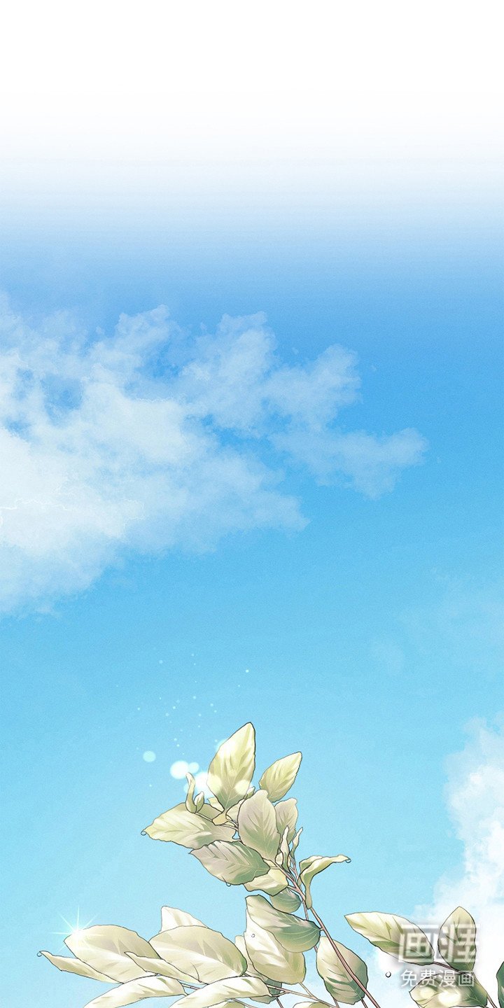 第16章：保护