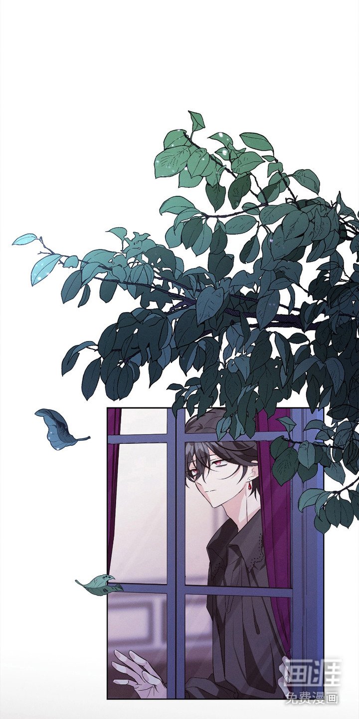 第6章：珍贵的财产