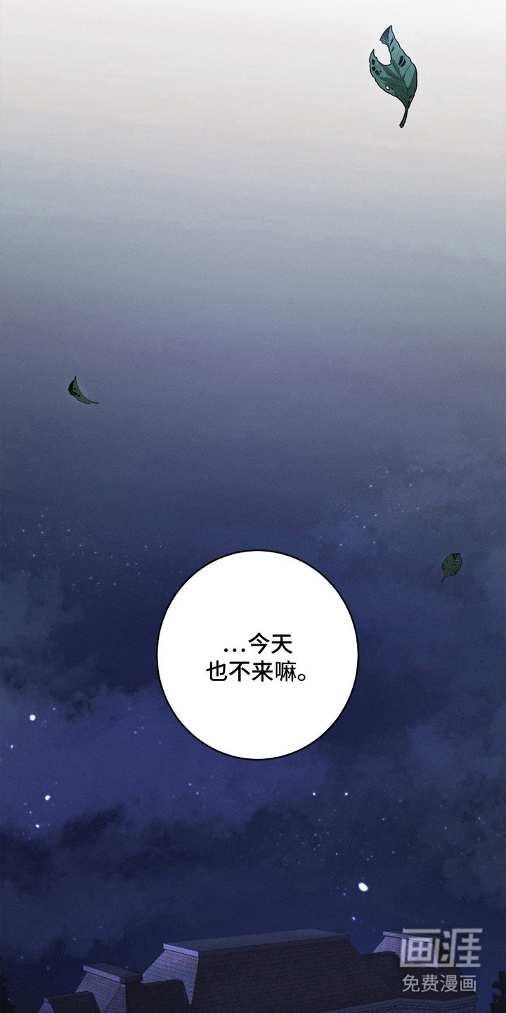 第6章：珍贵的财产
