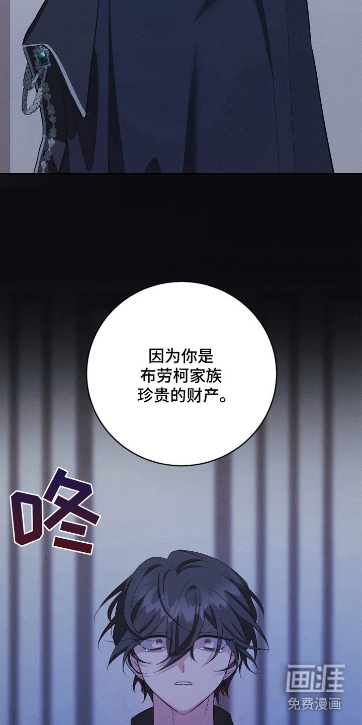 第6章：珍贵的财产