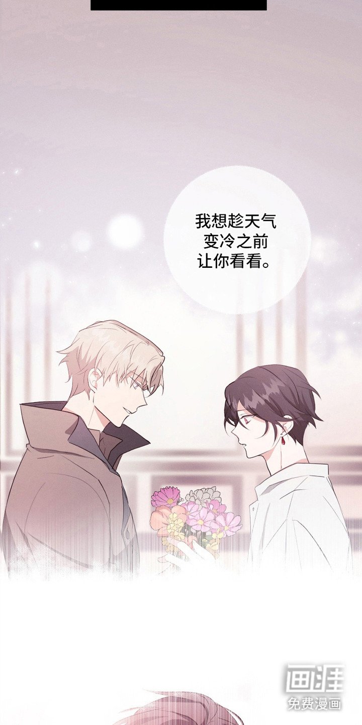 第7章：无谓的希望