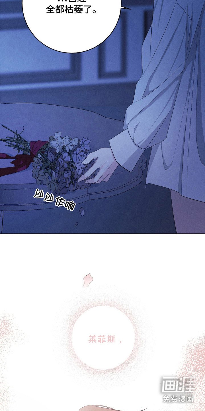 第8章：枯萎