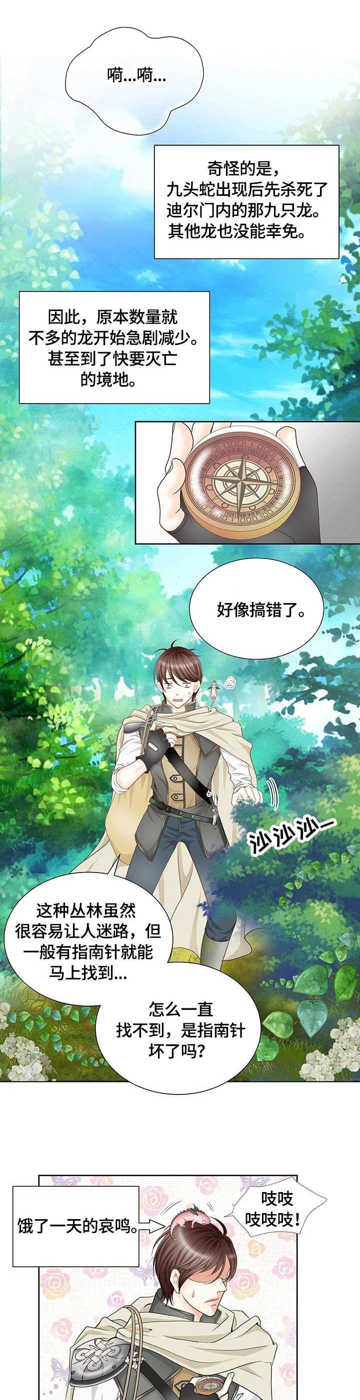 第1章：幼龙