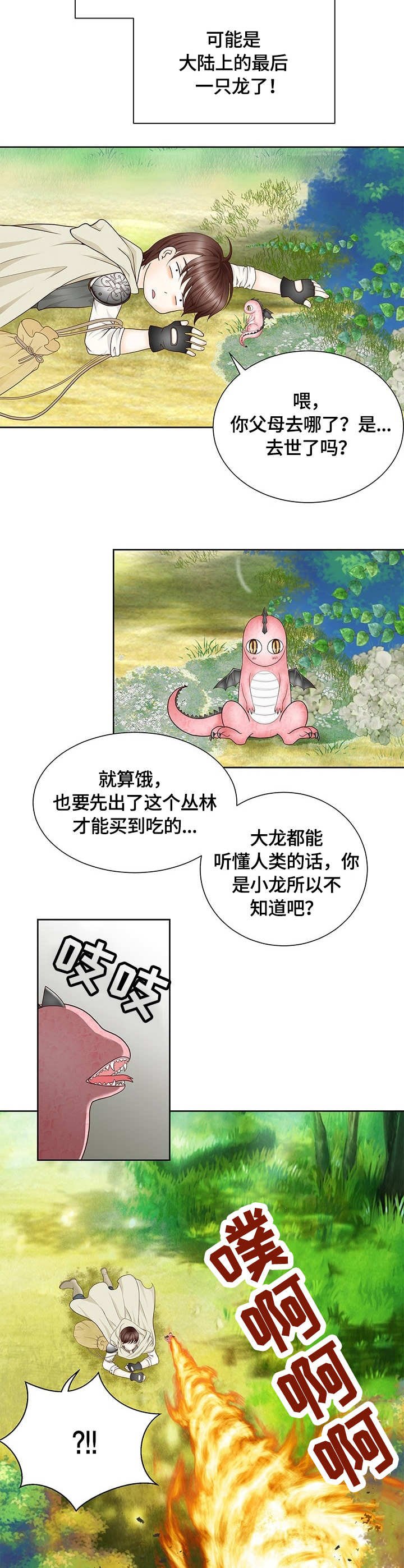 第1章：幼龙