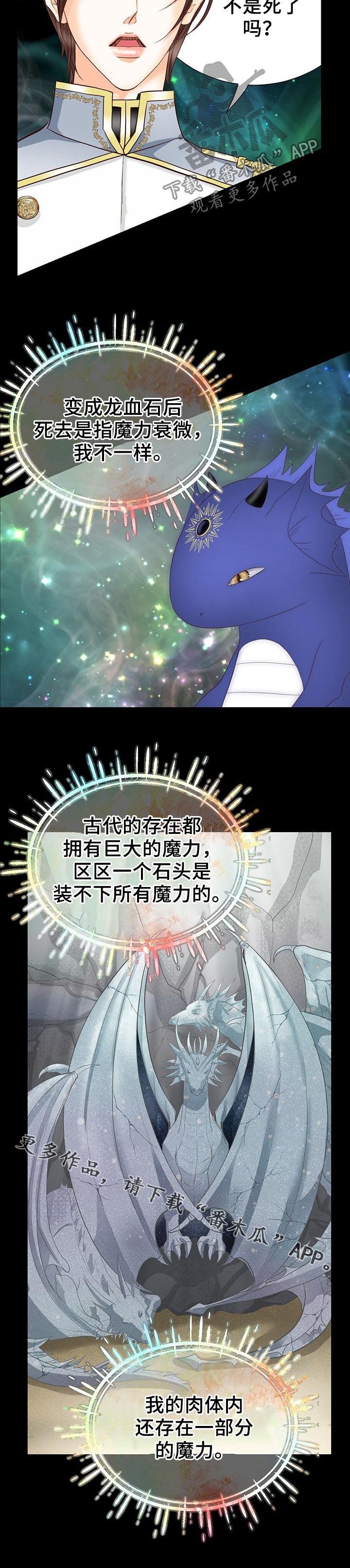 第121章：时间龙