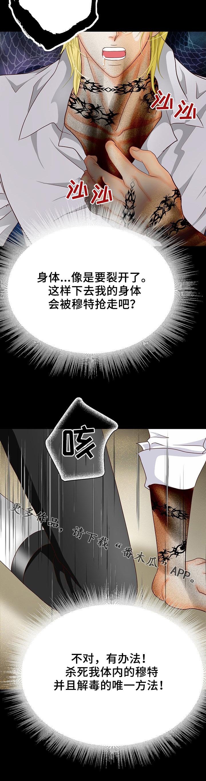 第123章：唯一办法