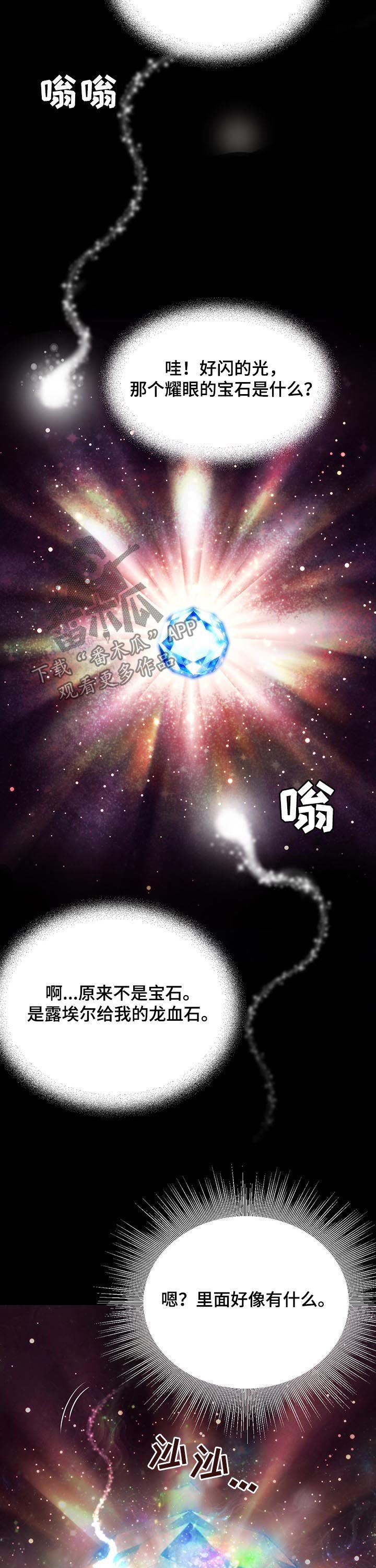 第141章：番外：生命石的异常