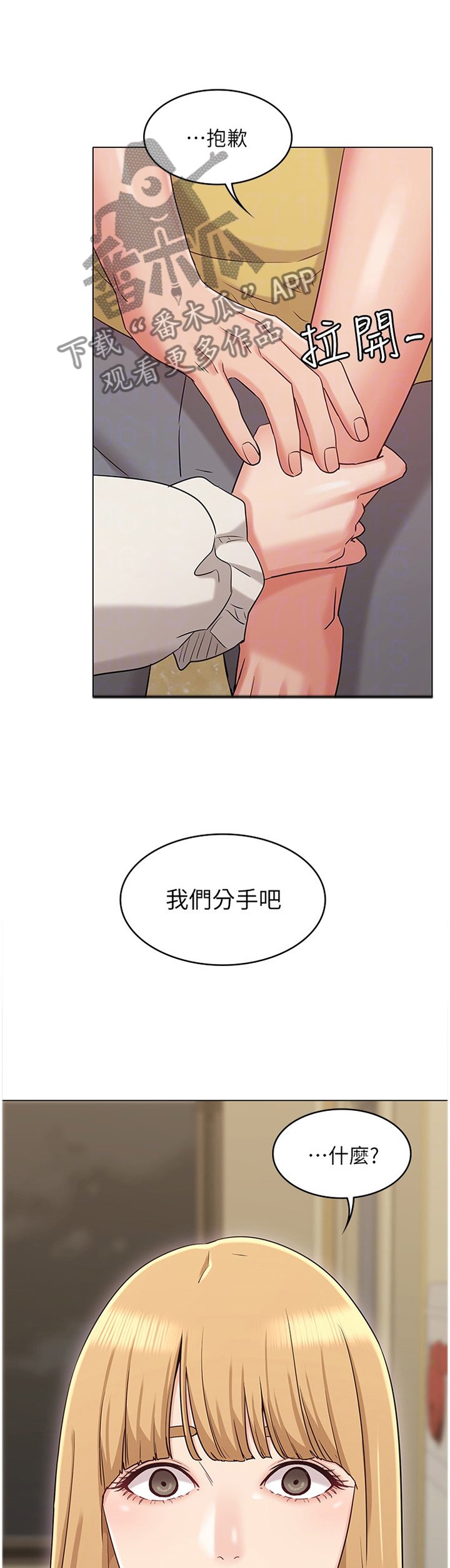 第51章：分手