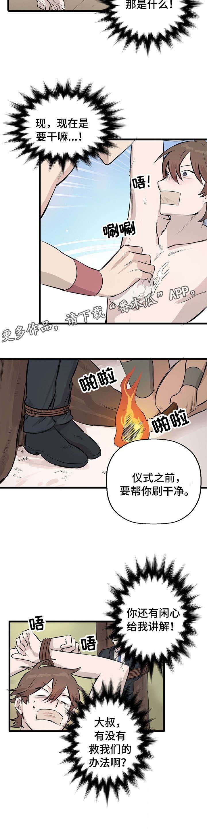 第10章：刷毛