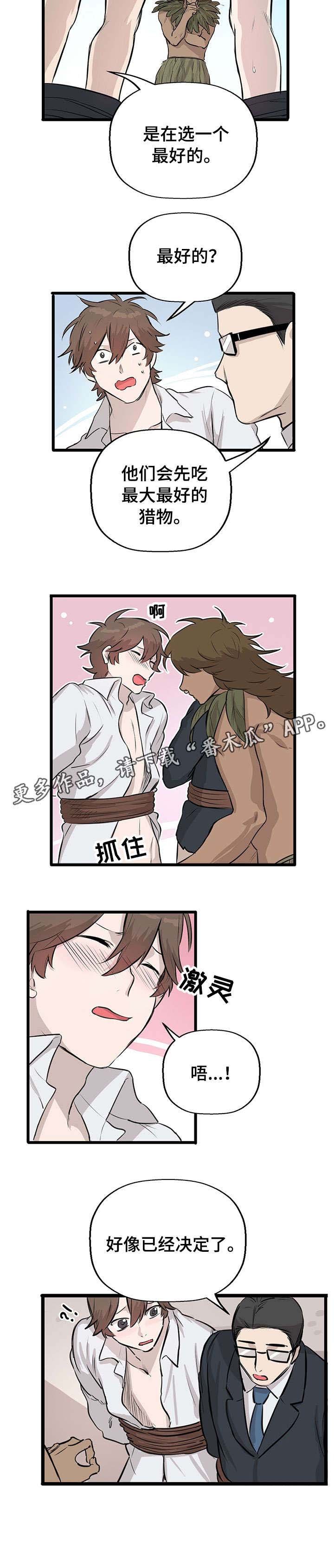 第14章：选择