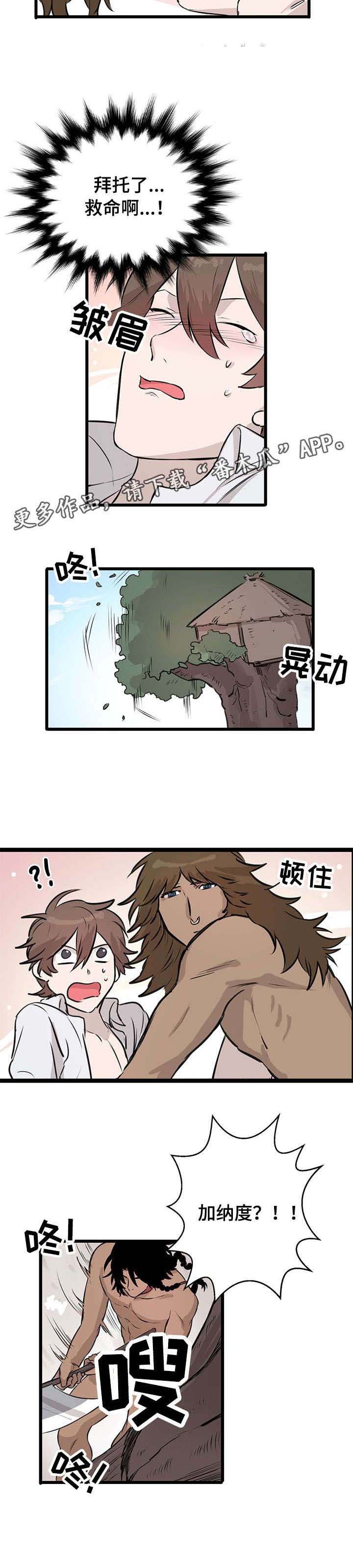 第14章：选择
