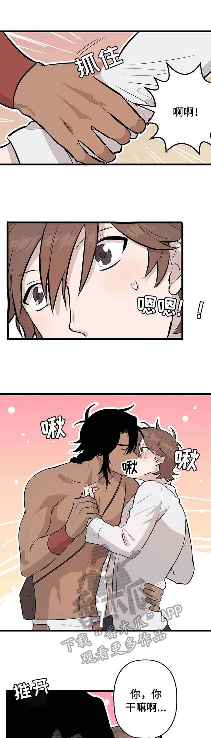 第3章：试味