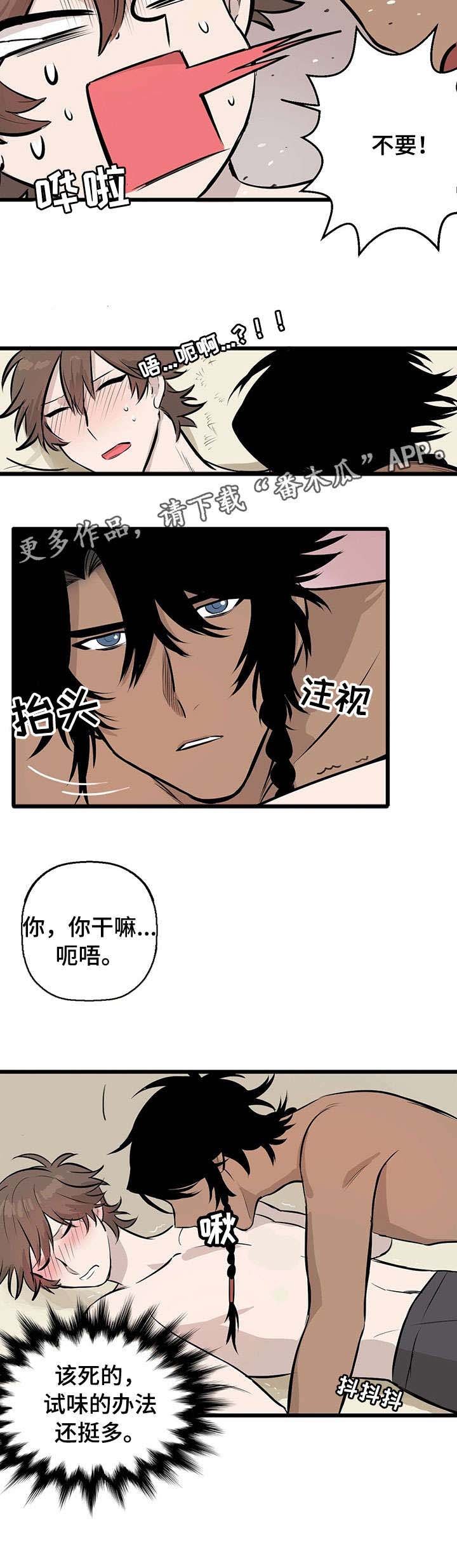 第3章：试味
