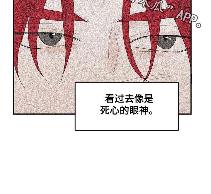 第24章：眼神