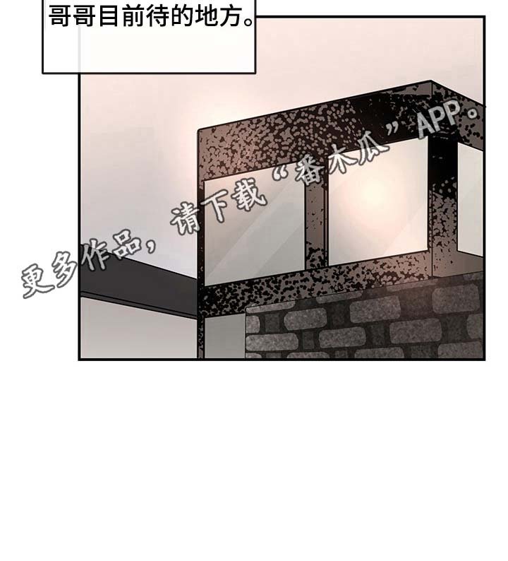 第29章：地址