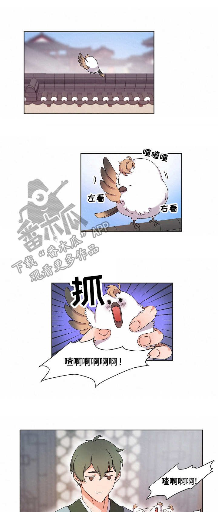 第14章：看望