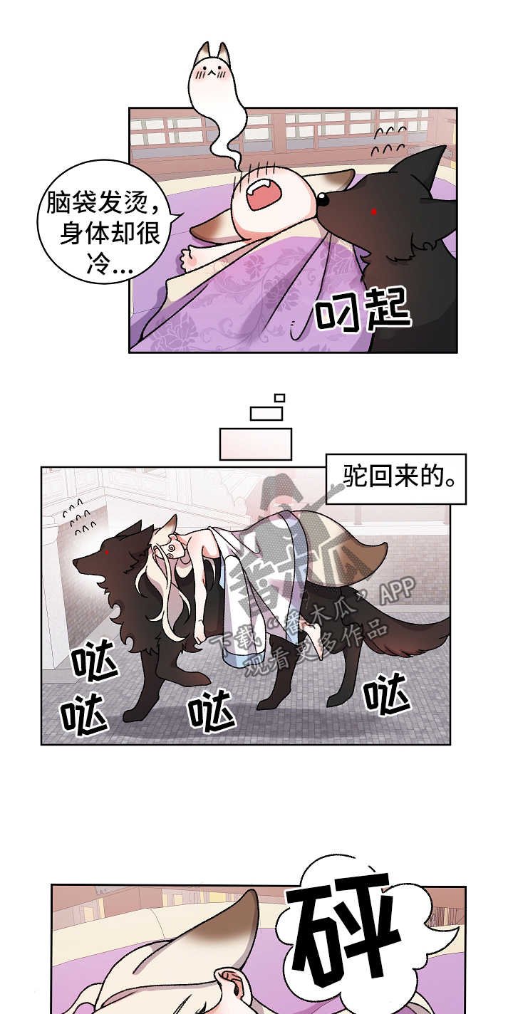 第28章：不回去也可以