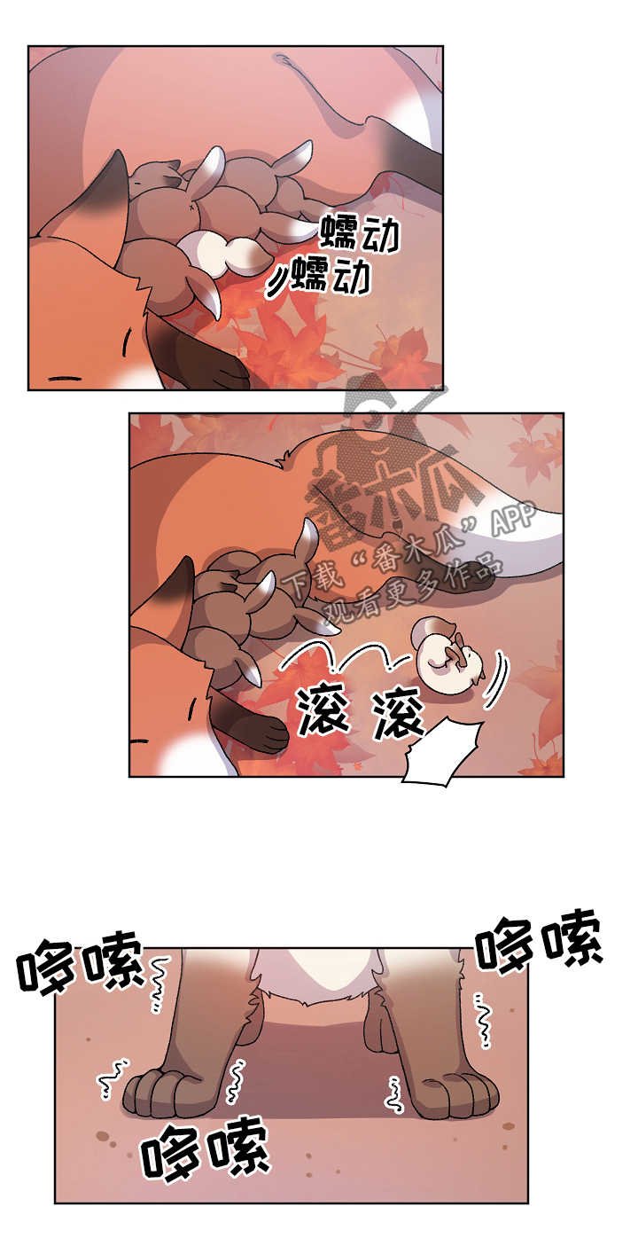 第29章：走丢