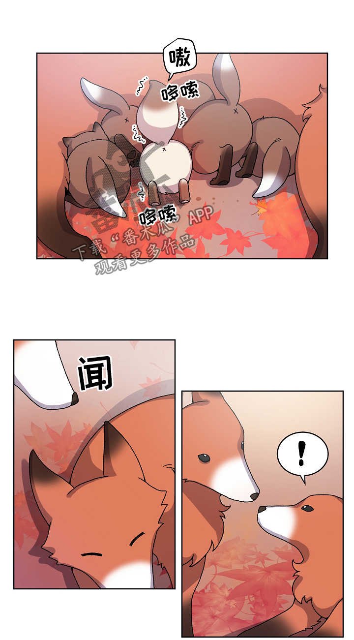 第29章：走丢