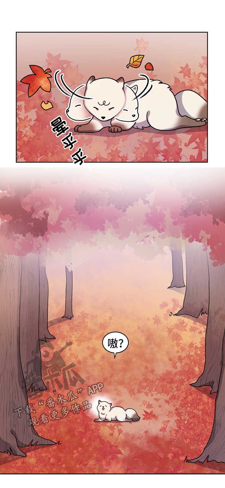 第29章：走丢