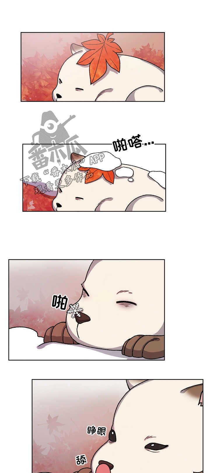 第29章：走丢