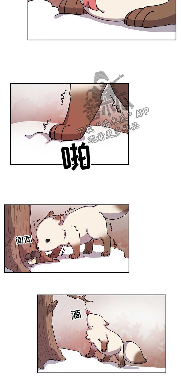 第29章：走丢