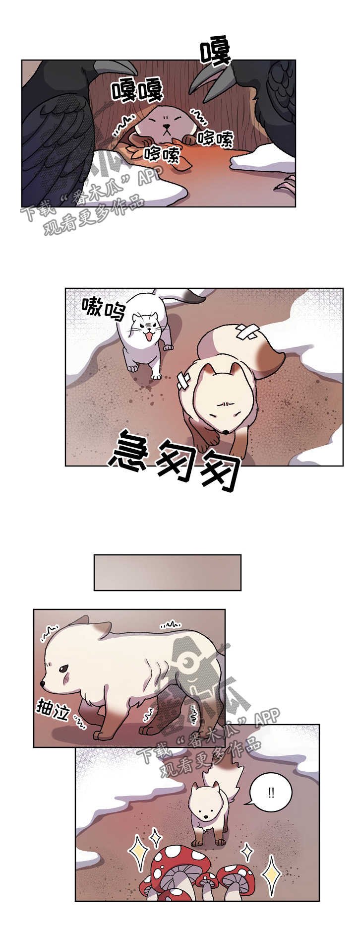 第29章：走丢