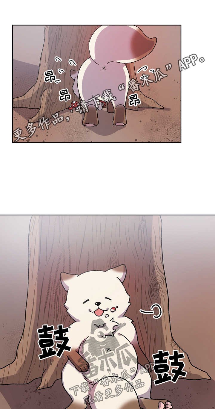 第29章：走丢