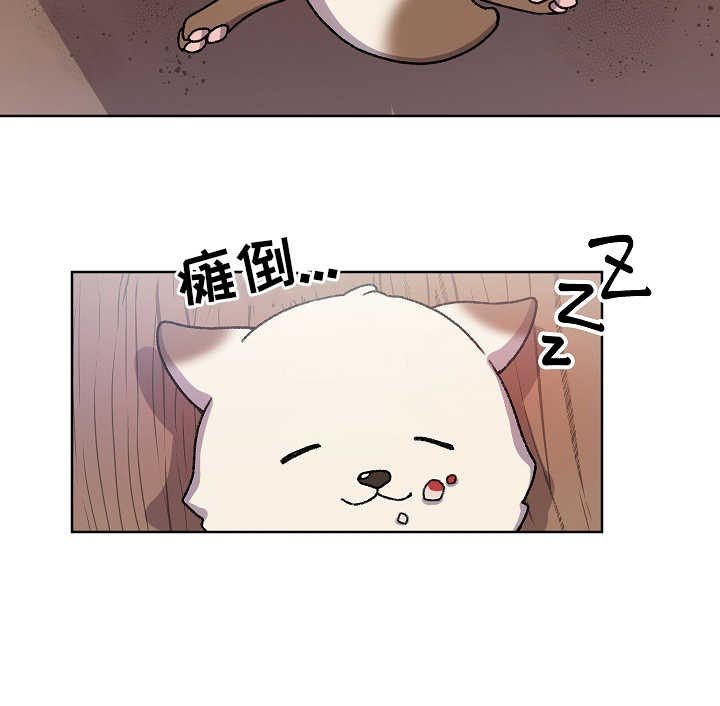 第29章：走丢