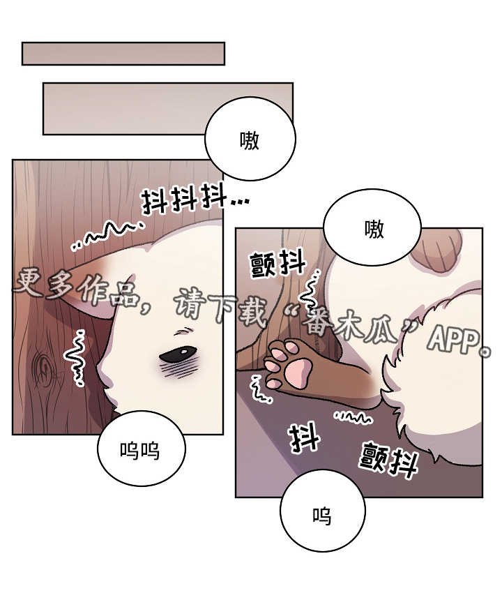 第30章：收养