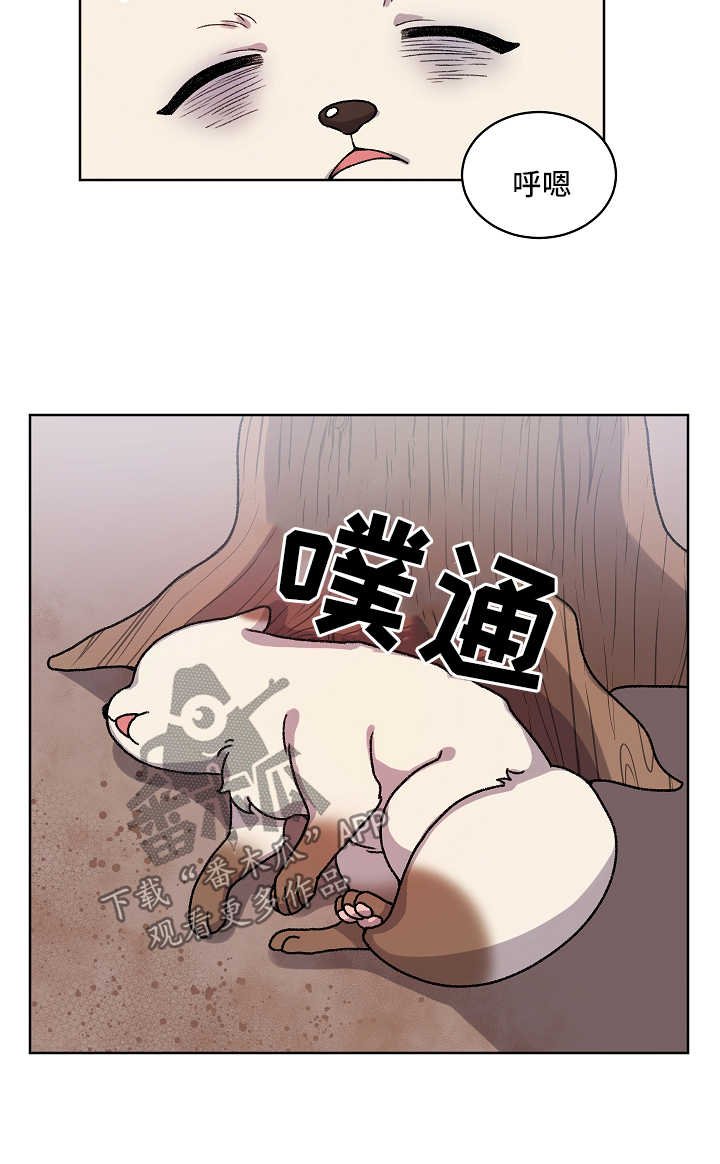 第30章：收养