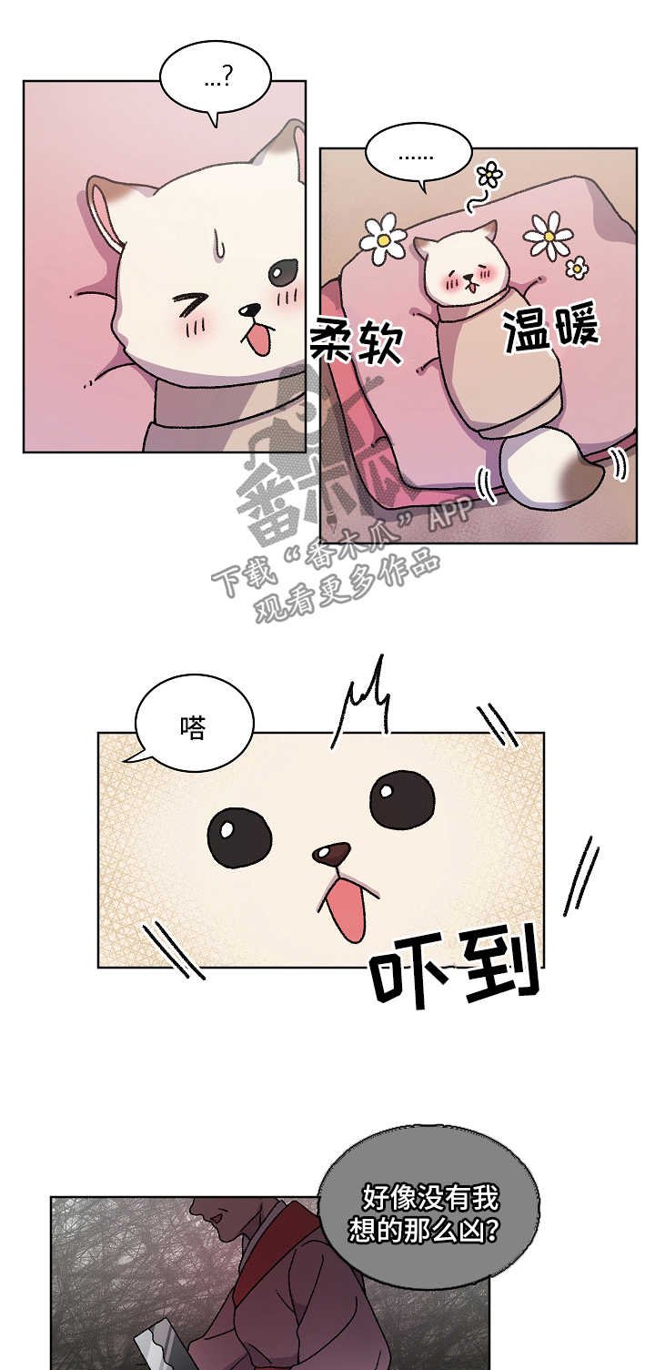 第30章：收养