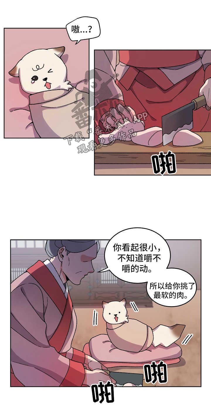 第30章：收养