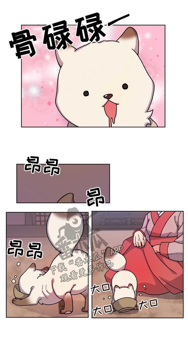第30章：收养
