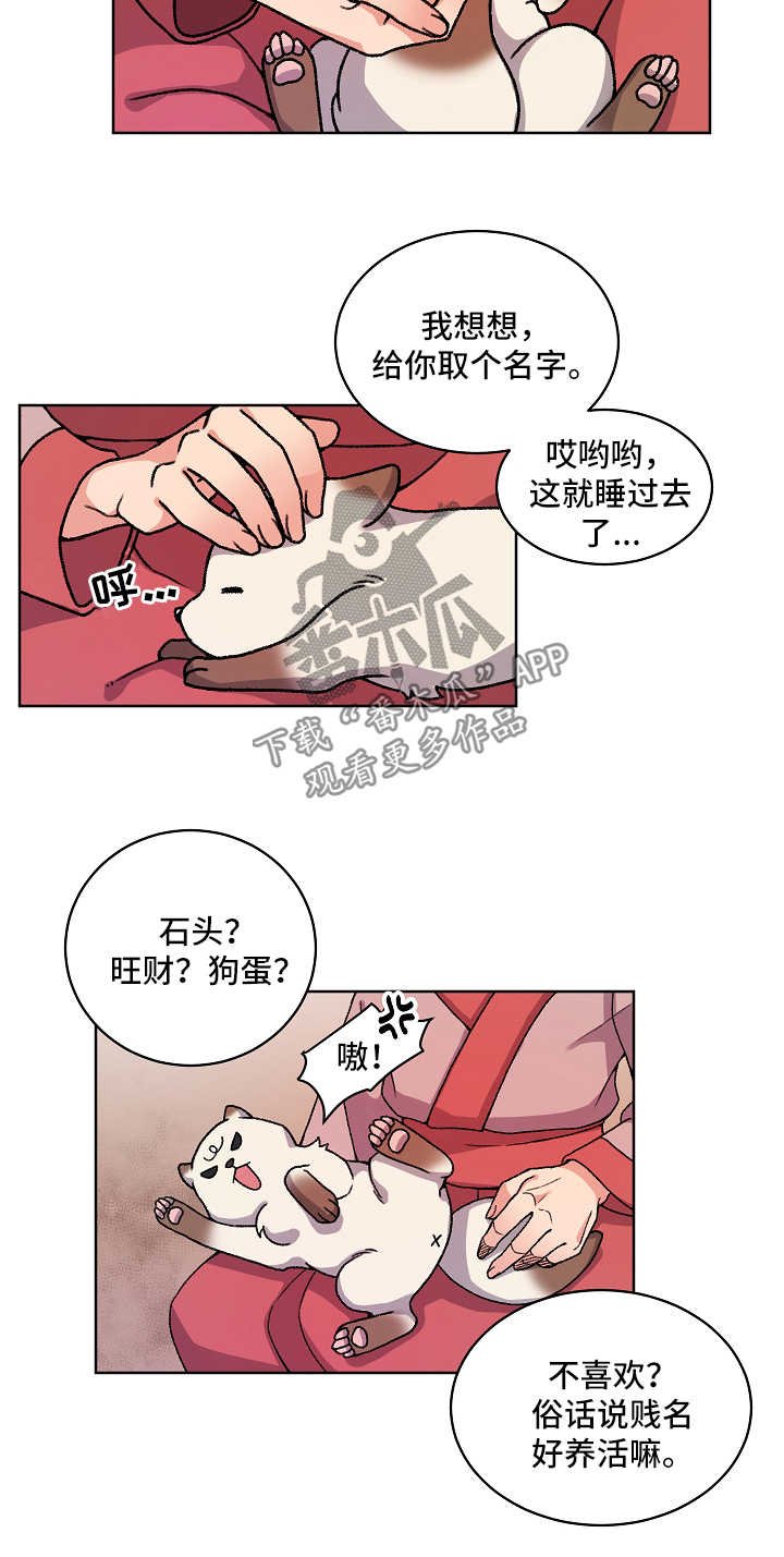 第30章：收养