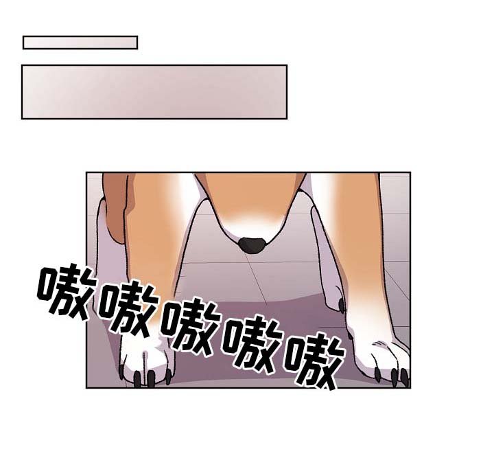 第36章：报复