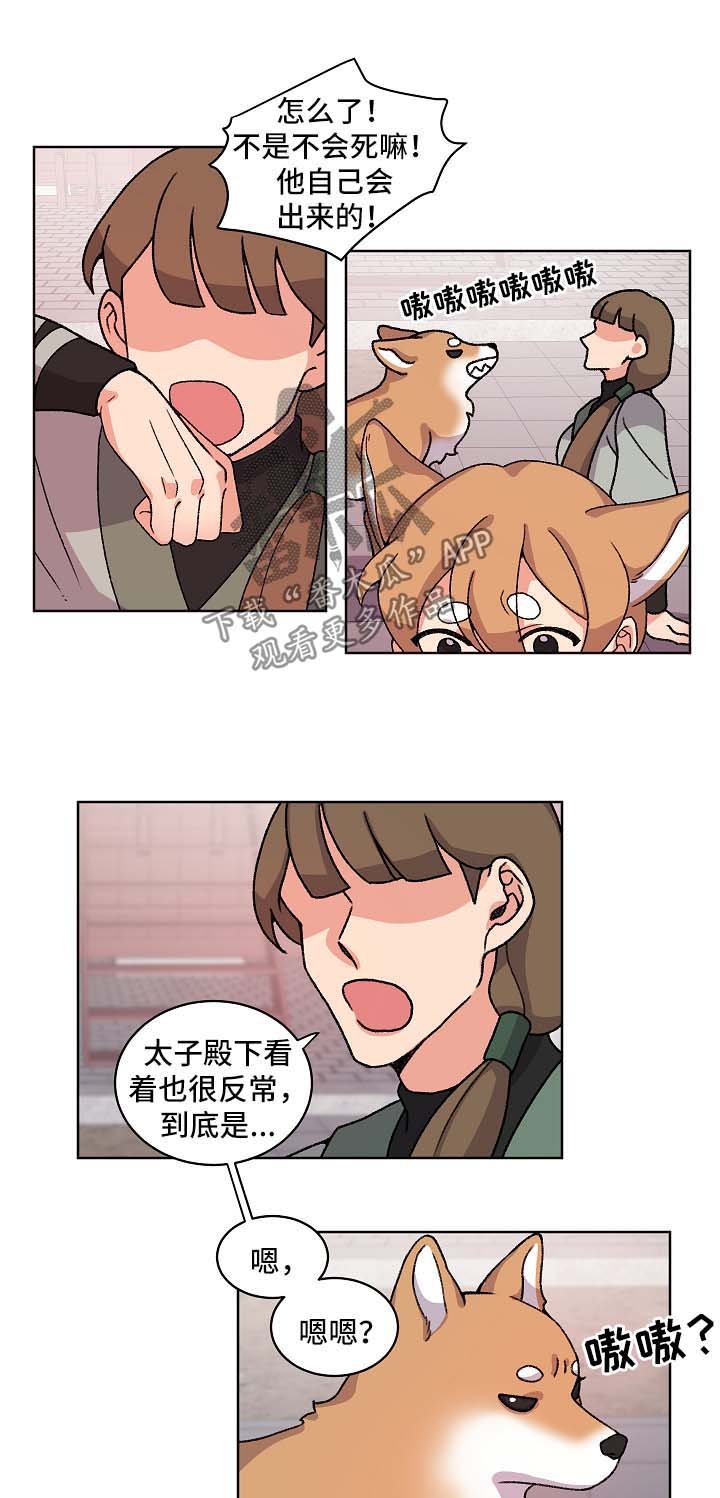 第36章：报复