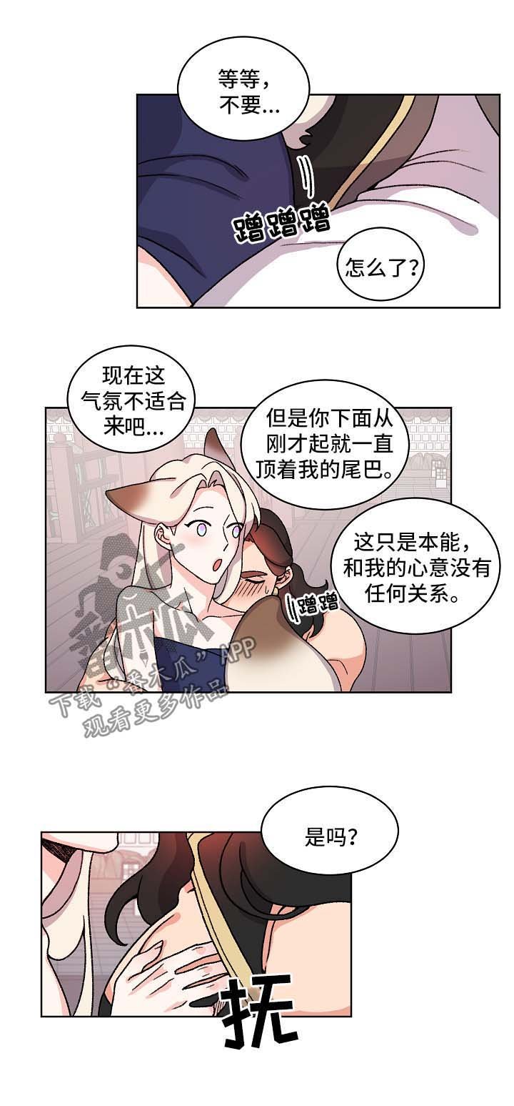 第38章：特别的存在