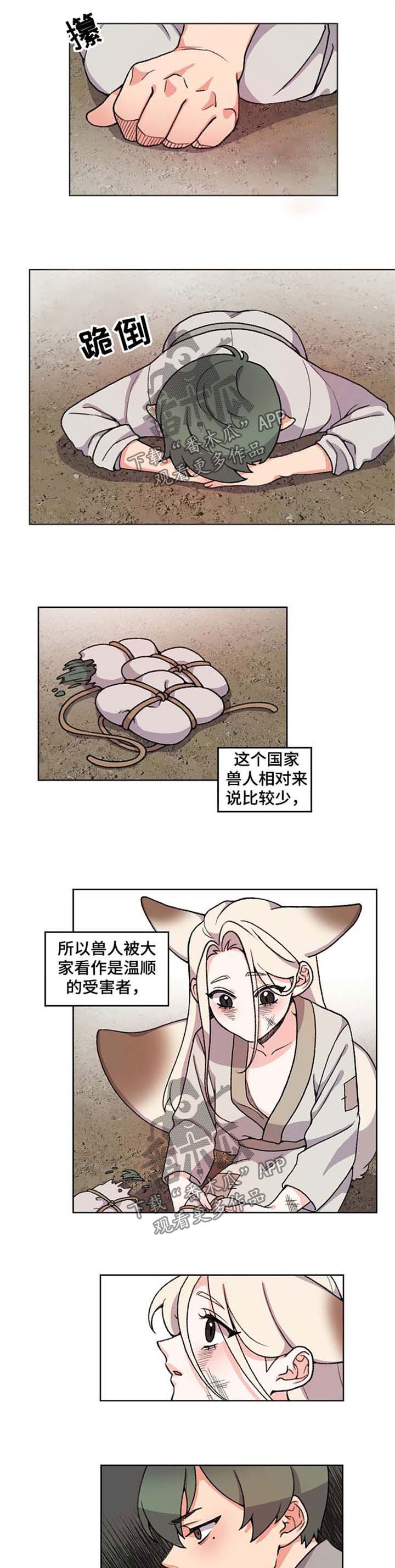 第49章：收养