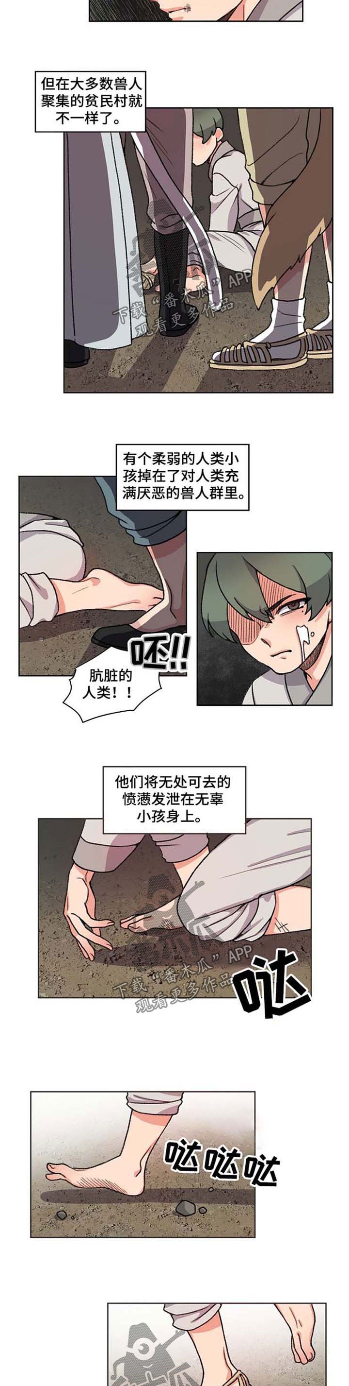 第49章：收养