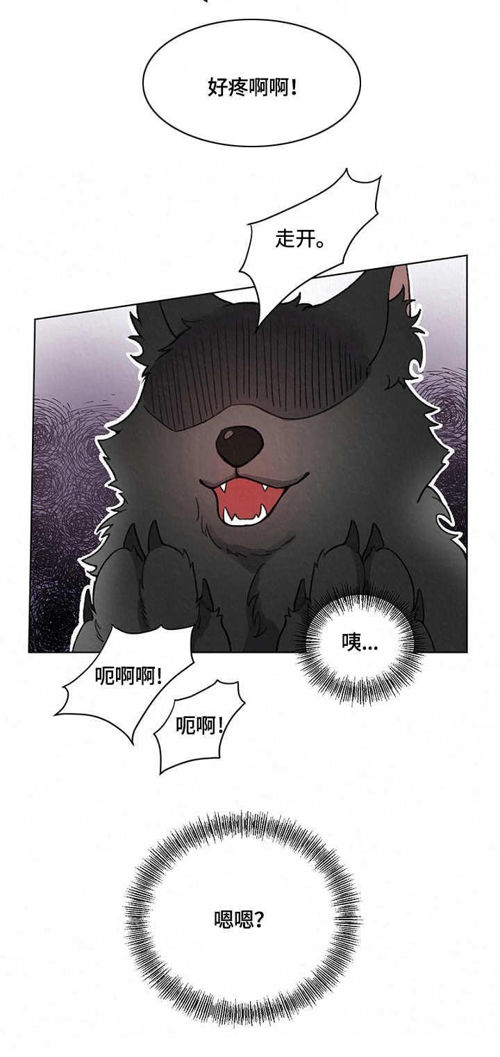第6章：狼